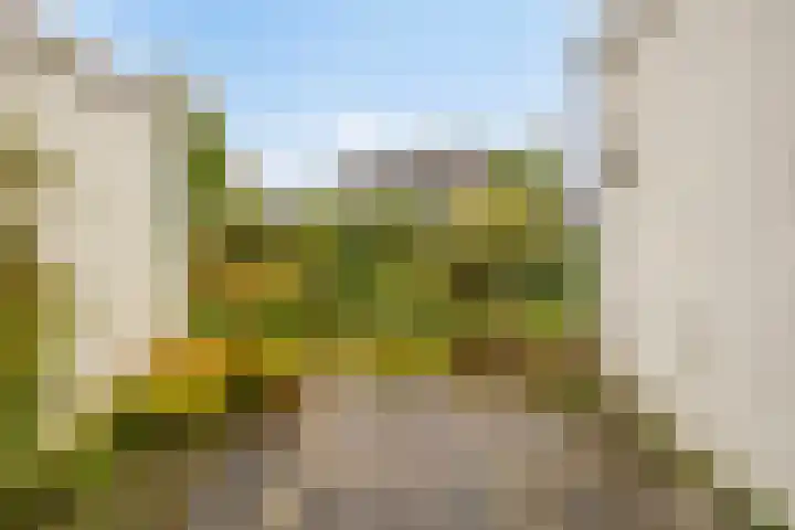 Generaal Gavinstraat 46 Mook thumbnail 27