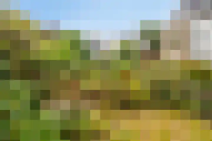 Generaal Gavinstraat 46 Mook thumbnail 29