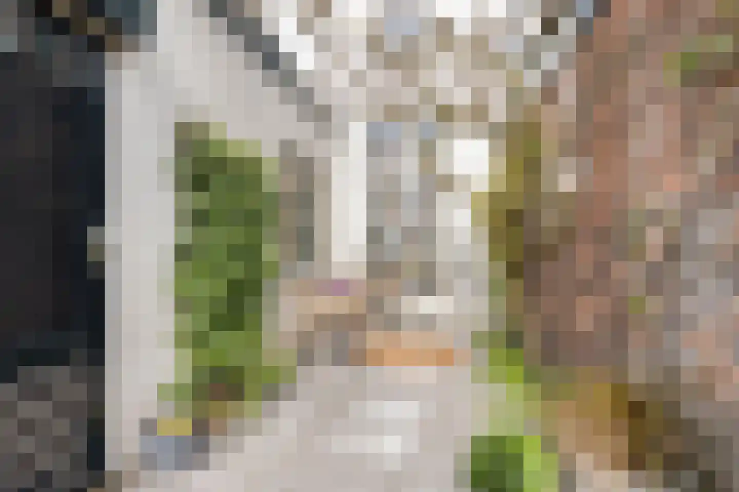 Generaal Joubertstraat 34 Haarlem thumbnail 31