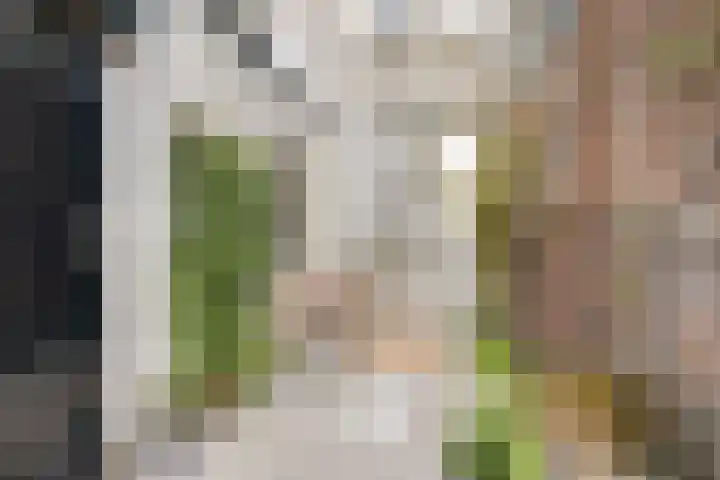 Generaal Joubertstraat 34 Haarlem thumbnail 31