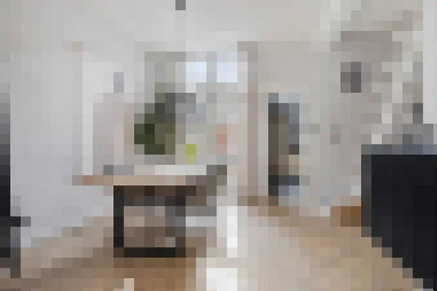 Generaal Joubertstraat 34 Haarlem thumbnail 8