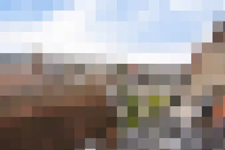Generaal Joubertstraat 48 Haarlem thumbnail 36