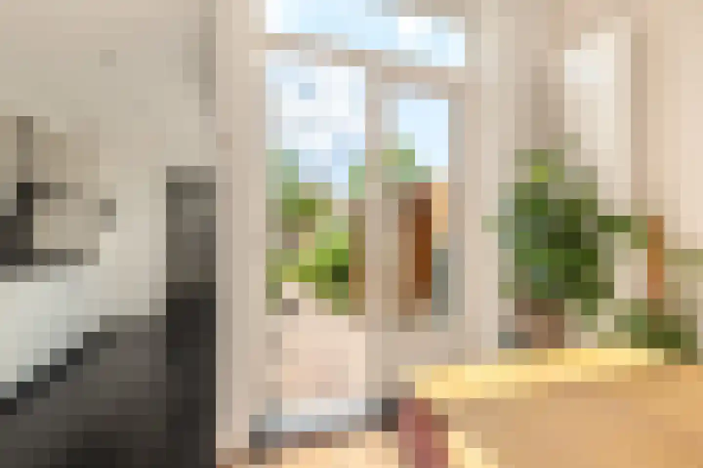Generaal Joubertstraat 74 Haarlem thumbnail 19