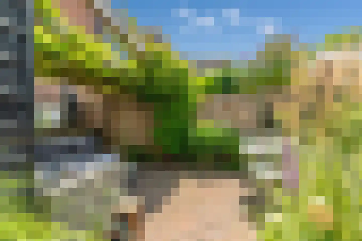 Generaal Joubertstraat 74 Haarlem thumbnail 22