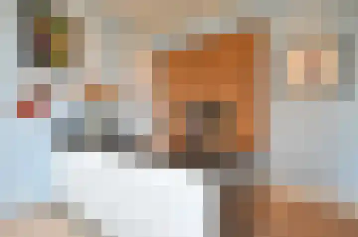 Generaal Karel van der Heijdenlaan 13 Baarn thumbnail 11