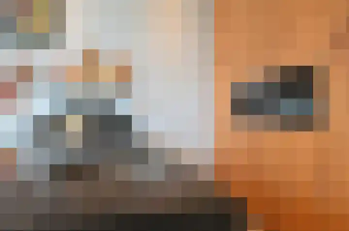 Generaal Karel van der Heijdenlaan 13 Baarn thumbnail 12