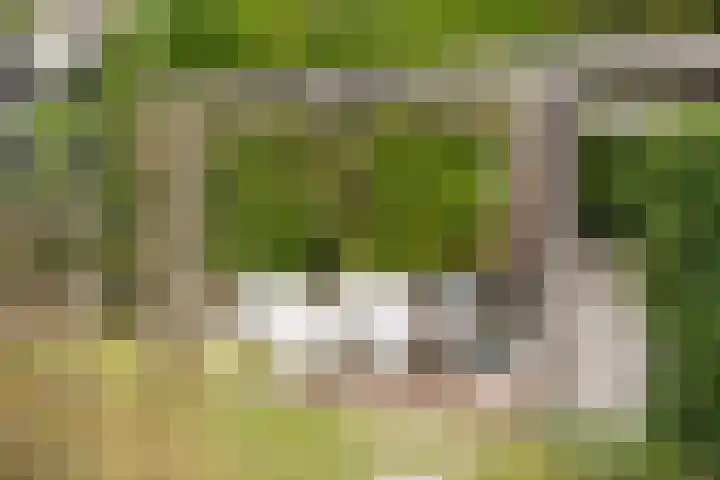 Generaal Karel van der Heijdenlaan 13 Baarn thumbnail 38