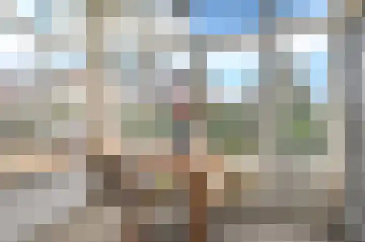 Generaal Karel van der Heijdenlaan 13 Baarn thumbnail 6