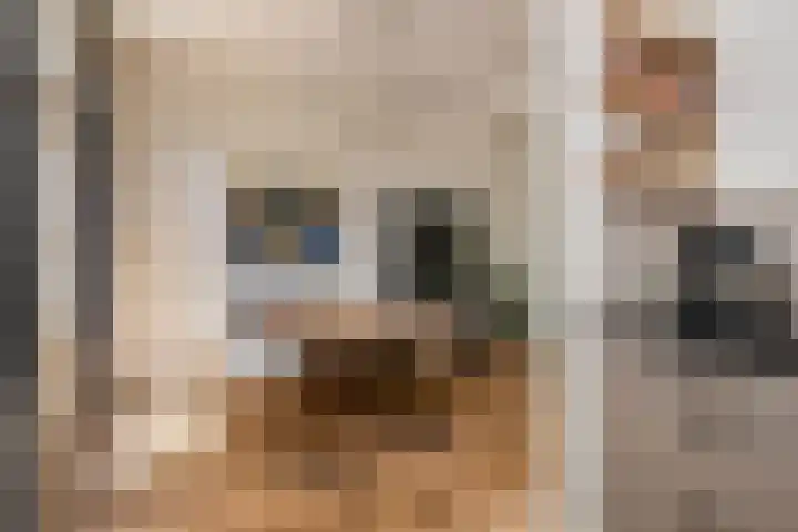 Generaal Karel van der Heijdenlaan 7 Baarn thumbnail 15
