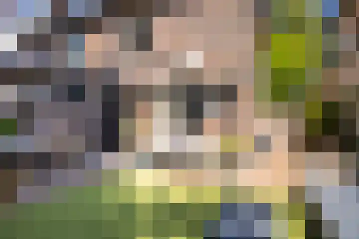 Generaal Karel van der Heijdenlaan 7 Baarn thumbnail 34