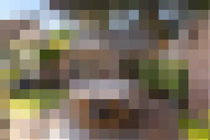 Generaal Karel van der Heijdenlaan 7 Baarn thumbnail 38