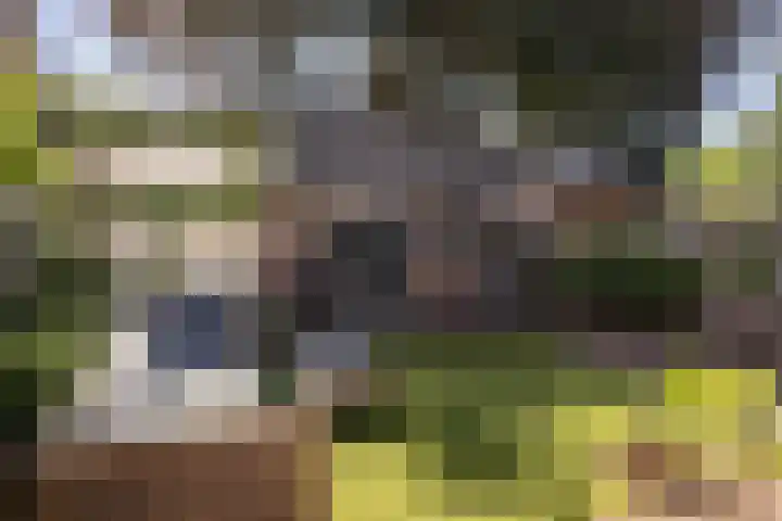 Generaal Karel van der Heijdenlaan 7 Baarn thumbnail 39