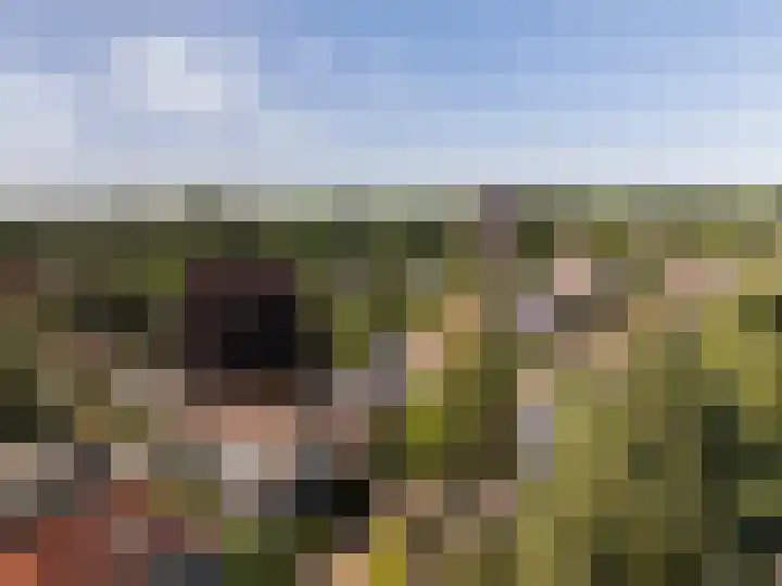 Generaal Karel van der Heijdenlaan 7 Baarn thumbnail 45