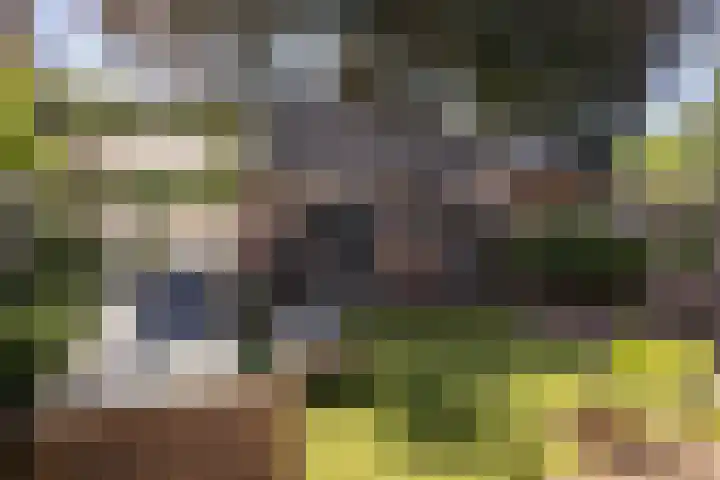 Generaal Karel van der Heijdenlaan 7 Baarn thumbnail 5