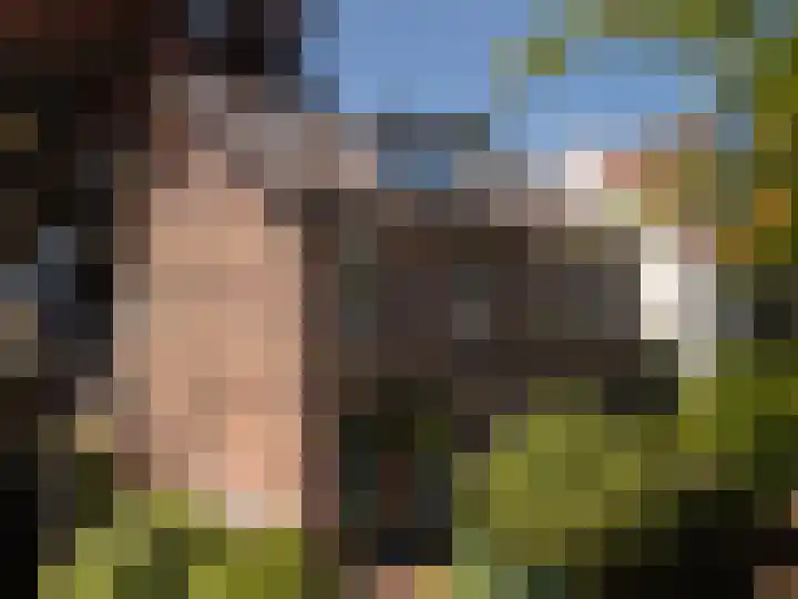 Generaal Karel van der Heijdenlaan 7 Baarn thumbnail 59