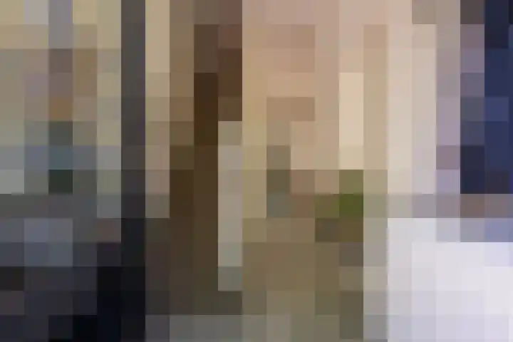 Generaal Karel van der Heijdenlaan 7 Baarn thumbnail 6