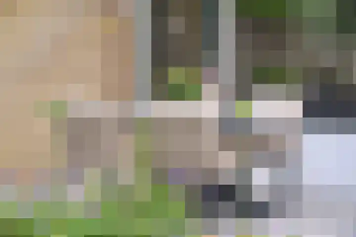 Generaal Kraijenhoffstraat 113 Naarden thumbnail 19