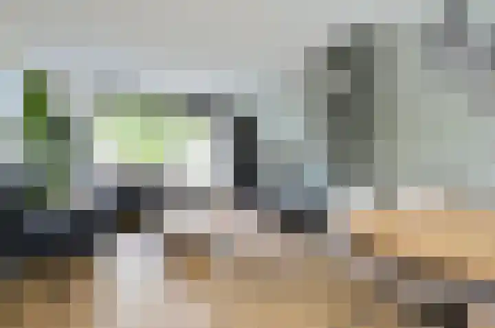 Generaal Kraijenhoffstraat 113 Naarden thumbnail 6