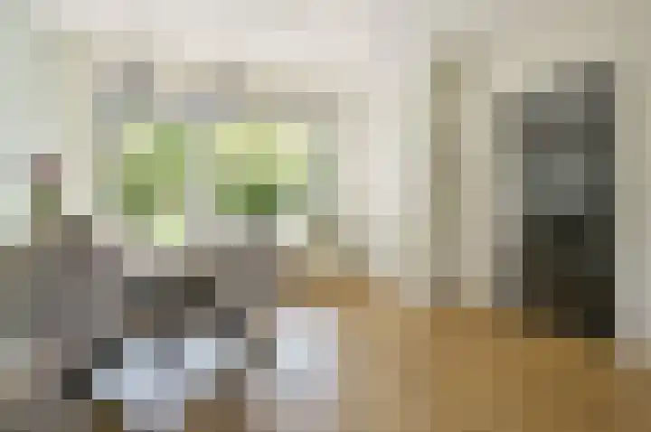 Generaal Kraijenhoffstraat 113 Naarden thumbnail 8