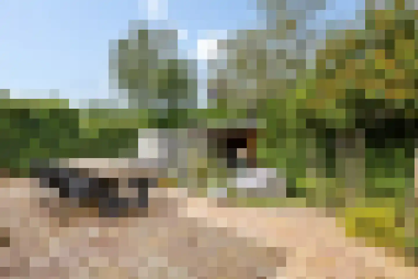 Generaal Kraijenhoffstraat 5 Naarden thumbnail 36