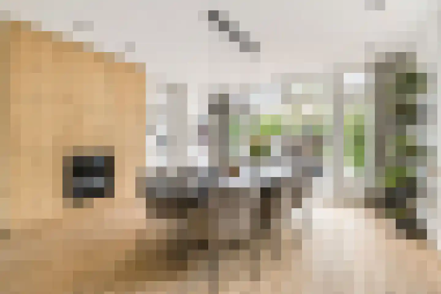 Generaal Kraijenhoffstraat 5 Naarden thumbnail 8