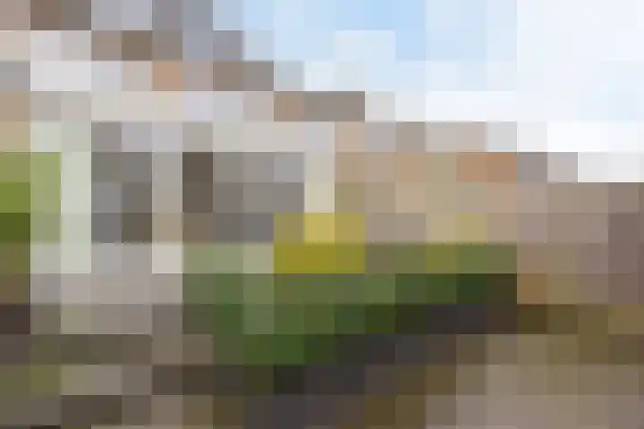 Generaal Kraijenhoffstraat 75 Naarden thumbnail 30