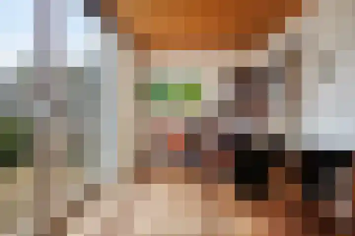 Generaal Linckerslaan 22 Eindhoven thumbnail 13