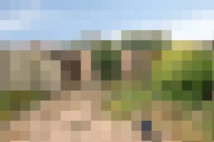 Generaal Linckerslaan 22 Eindhoven thumbnail 30