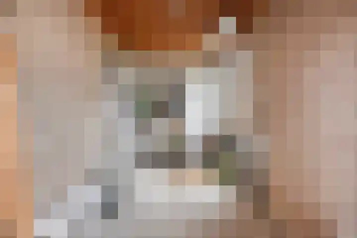 Generaal Linckerslaan 22 Eindhoven thumbnail 31