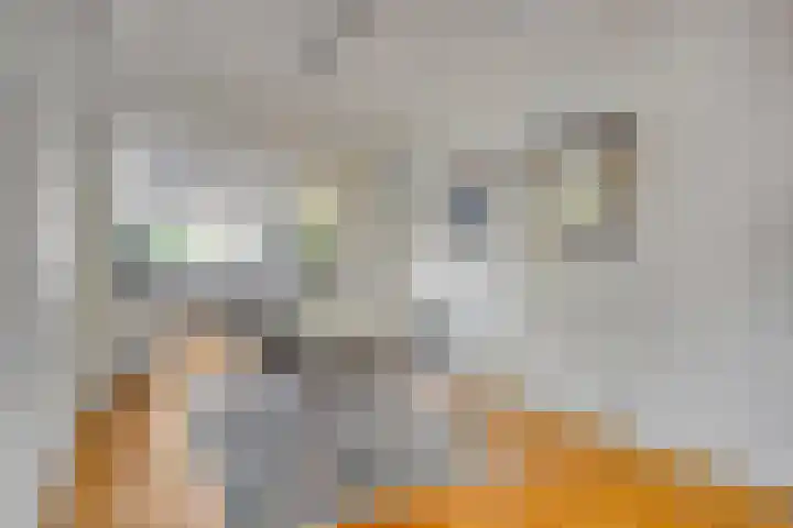 Generaal Linckerslaan 23 Eindhoven thumbnail 14