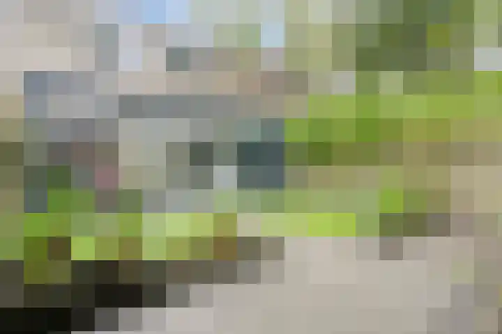 Generaal Linckerslaan 23 Eindhoven thumbnail 35