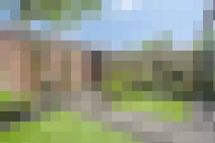 Generaal Linckerslaan 23 Eindhoven thumbnail 36