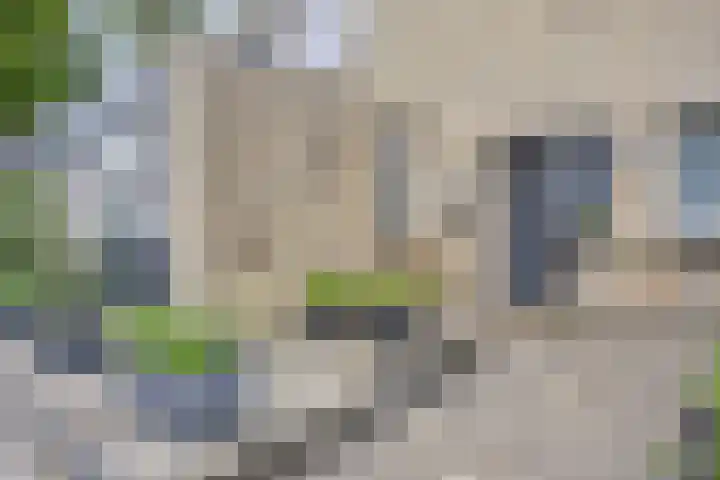 Generaal Linckerslaan 23 Eindhoven thumbnail 6