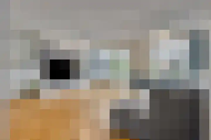 Generaal Linckerslaan 23 Eindhoven thumbnail 9
