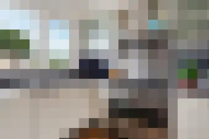 Generaal Linckerslaan 30 Eindhoven thumbnail 16