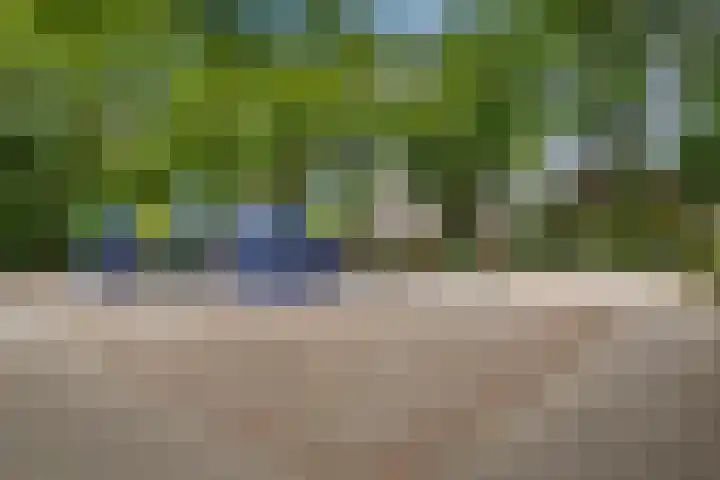 Generaal Linckerslaan 30 Eindhoven thumbnail 47