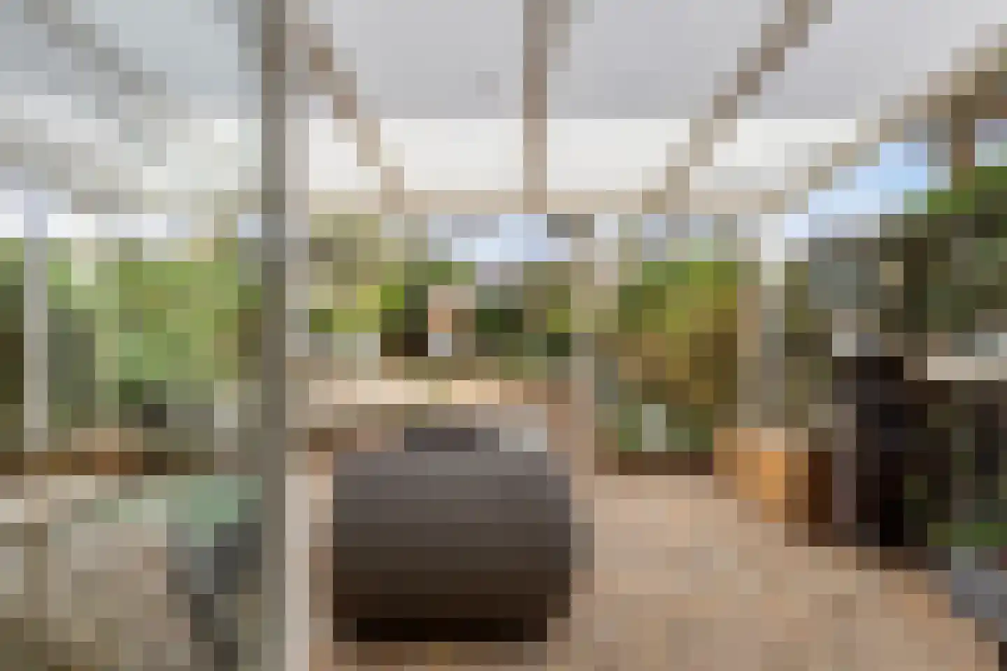 Generaal Linckerslaan 58 Eindhoven thumbnail 30