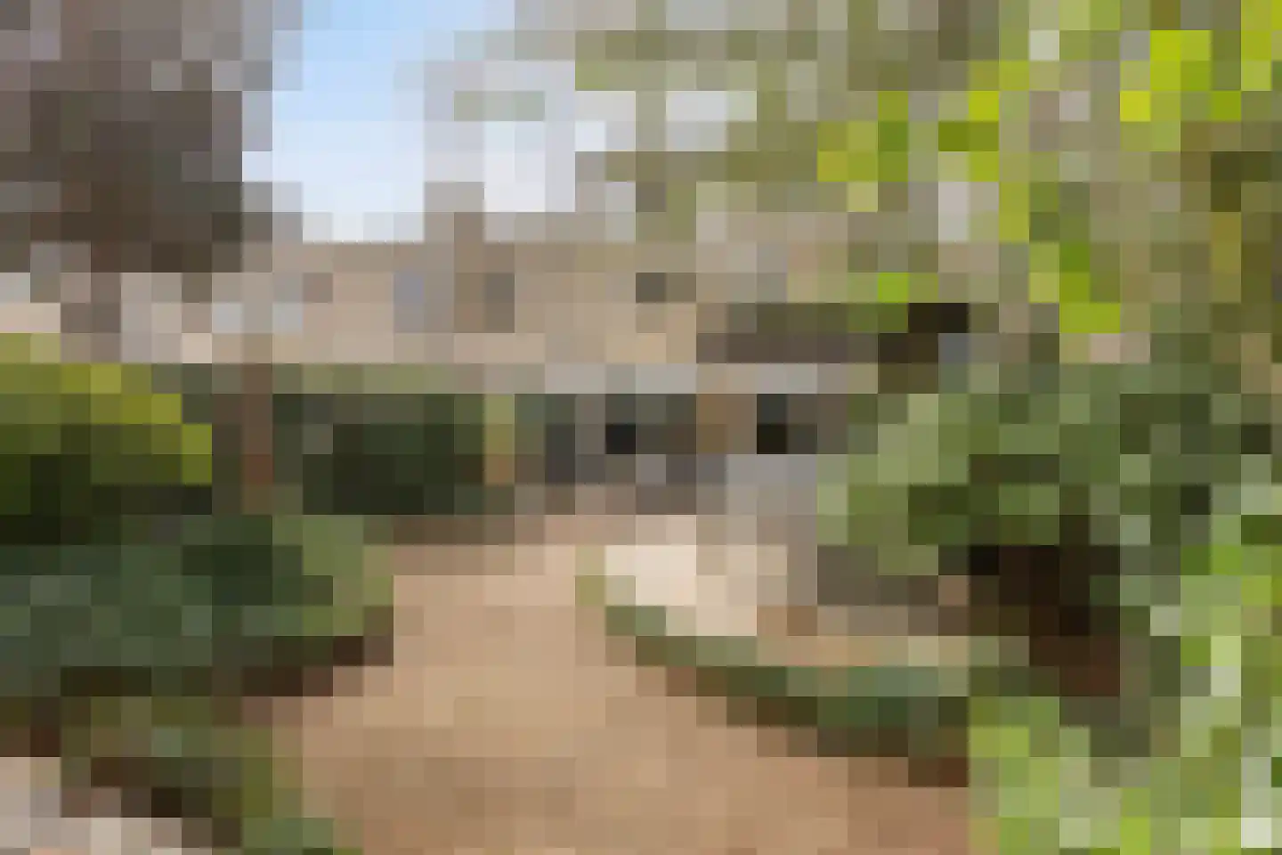 Generaal Linckerslaan 58 Eindhoven thumbnail 33