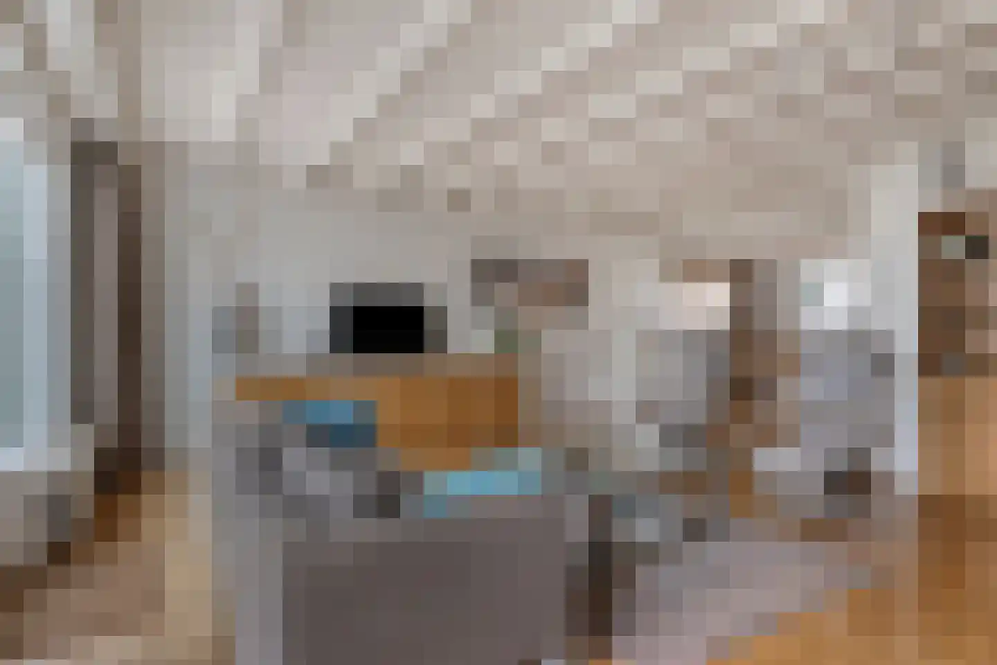 Generaal Linckerslaan 58 Eindhoven thumbnail 8