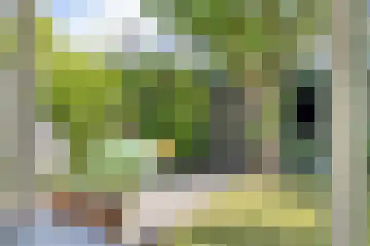Generaal Linckerslaan 62 Eindhoven thumbnail 33