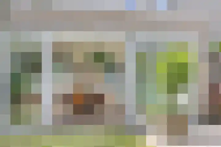 Generaal Linckerslaan 62 Eindhoven thumbnail 34