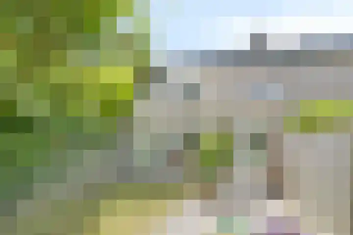 Generaal Linckerslaan 62 Eindhoven thumbnail 35