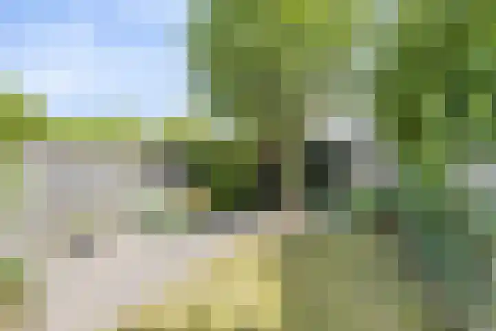 Generaal Linckerslaan 62 Eindhoven thumbnail 36