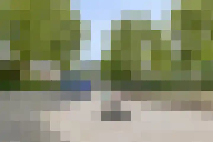 Generaal Linckerslaan 62 Eindhoven thumbnail 39