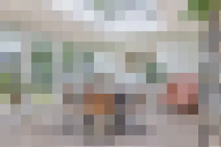 Generaal Linckerslaan 62 Eindhoven thumbnail 4