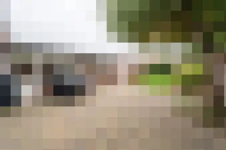 Generaal Maczeklaan 10 Baarle-Nassau thumbnail 16