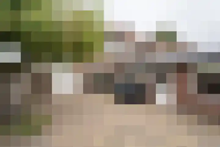 Generaal Maczeklaan 10 Baarle-Nassau thumbnail 30
