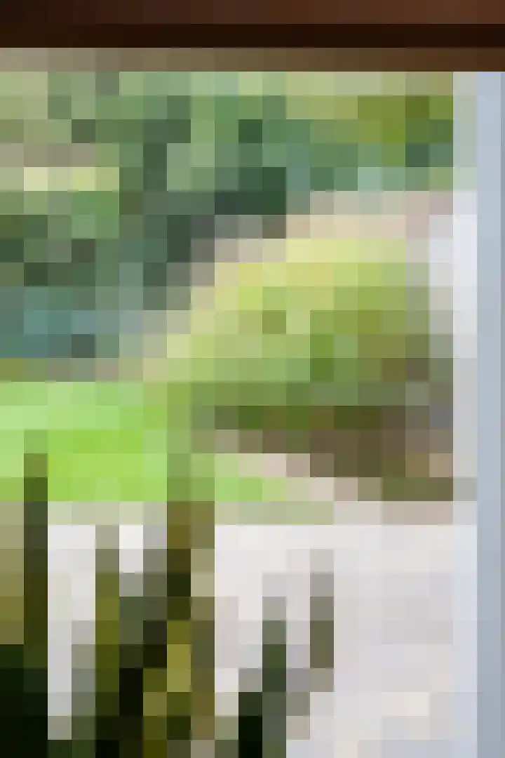 Generaal Maczeklaan 10 Baarle-Nassau thumbnail 7