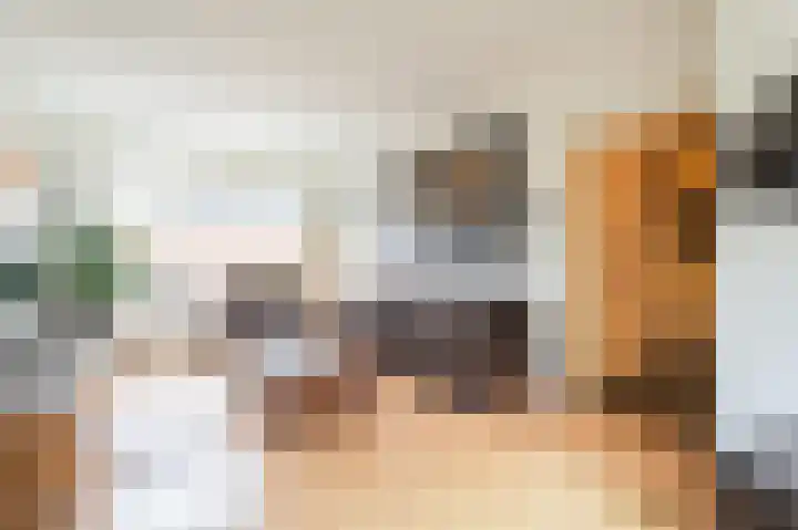 Generaal Maczeklaan 10 Baarle-Nassau thumbnail 8