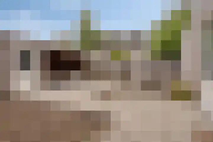 Generaal Maczeklaan 2 c Baarle-Nassau thumbnail 29